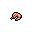 shrimp