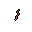 worm