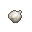 bulb of garlic